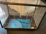 Rattenkooien met toebehoren, Dieren en Toebehoren, Ophalen, Gebruikt, Overige typen, 60 tot 90 cm