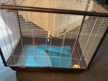 Rattenkooien met toebehoren beschikbaar voor biedingen