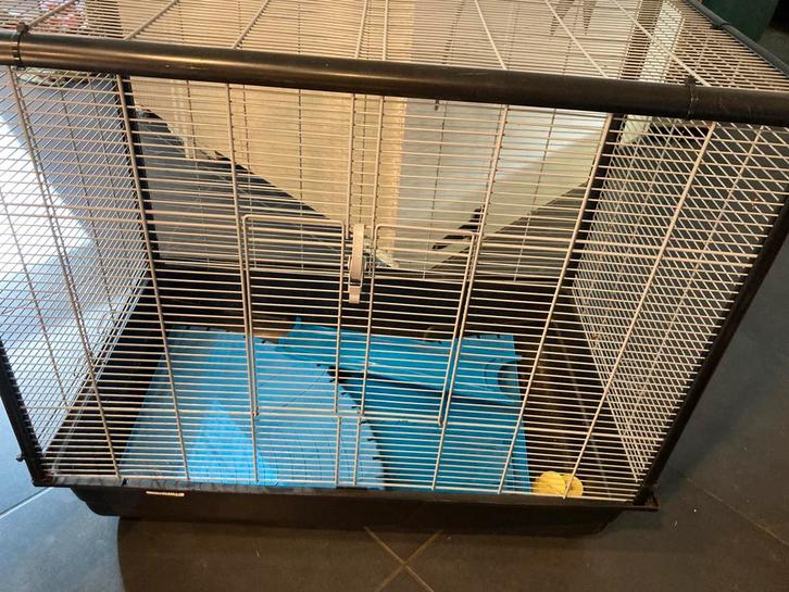 Rattenkooien met toebehoren, Dieren en Toebehoren, Knaagdieren en Konijnen | Hokken en Kooien, Gebruikt, Overige typen, 60 tot 90 cm