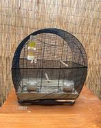Vogelkooi, Dieren en Toebehoren, Vogels | Hokken en Kooien, Ophalen, Zo goed als nieuw, Vogelkooi