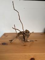 aquarium/ terrarium decoratie, Dieren en Toebehoren, Ophalen, Zo goed als nieuw