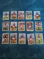 Anderlecht , Vanderhout prentjes 1971-72, Verzamelen, Sportartikelen en Voetbal, Ophalen of Verzenden