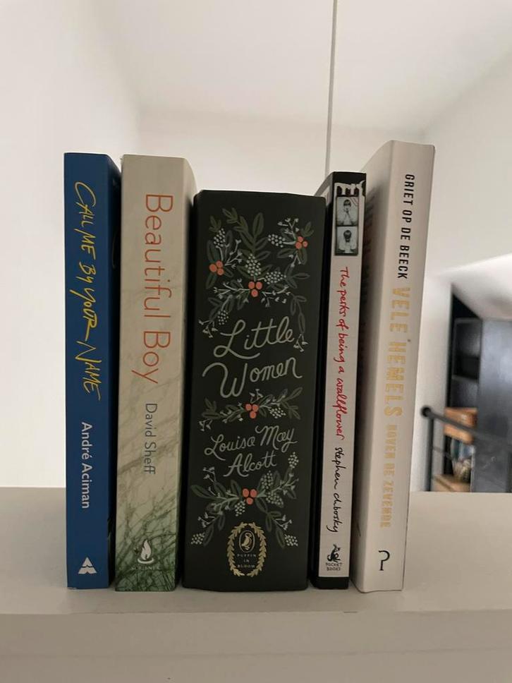 Selectie boekenklassiekers, Livres, Romans, Comme neuf, Europe autre, Enlèvement ou Envoi