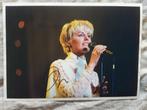 Eçhte foto Dana Winner, Verzamelen, Ophalen of Verzenden, Zo goed als nieuw