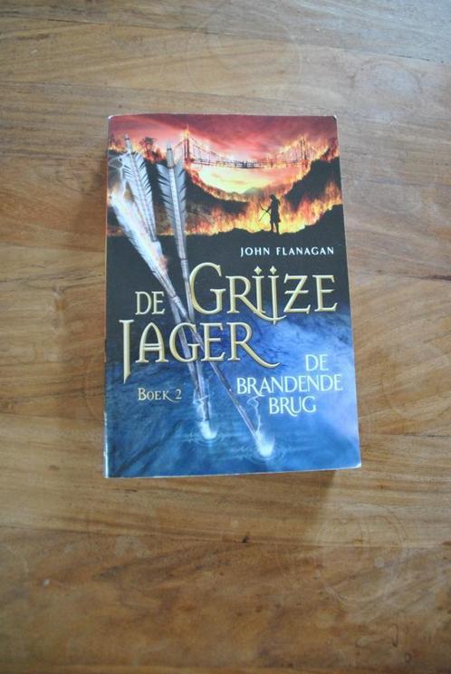 grijze jager - boek 2 : de  brandende brug, Livres, Fantastique, Comme neuf, Enlèvement ou Envoi