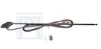 Antenne chroom raam/zijstijl 3 delen telescoop 46-126cm kabe, Ophalen of Verzenden, Nieuw, Volvo
