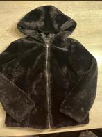 Fluffy jas maat S, Kleding | Dames, Telly Weijl, Ophalen of Verzenden, Maat 36 (S), Zwart