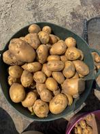 Nieuwe mooie grote aardappelen, Diversen, Ophalen