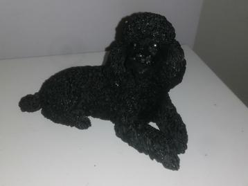 Caniche noir disponible aux enchères