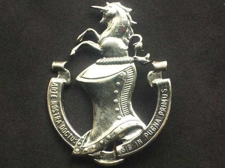 Insigne belge béret École desTroupes Blindées ETBL vers 1960, Collections, Objets militaires | Seconde Guerre mondiale, Armée de terre