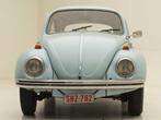 VOLKSWAGEN BECCINELLE 1300, Autos, Achat, Entreprise, Boîte manuelle, Coccinelle