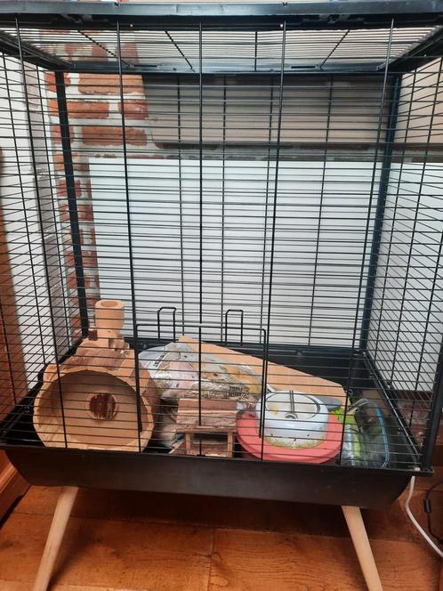 Gerbilkooi met toebehoren, Dieren en Toebehoren, Vogels | Hokken en Kooien, Gebruikt, Ophalen
