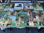 18 x oude kalender 2005-2022, Duitse herders, Ophalen of Verzenden, Maandkalender, Zo goed als nieuw