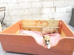Werpkist puppy's, Dieren en Toebehoren, Ophalen, Zo goed als nieuw