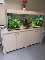 Weg wegens stopzetting van hobby., Animaux & Accessoires, Poissons | Aquariums & Accessoires, Comme neuf, Enlèvement