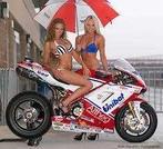 DUCATI 916 1098 1199 PANIGALE V2 V4 MET SCHADE GEVRAAGD, Motoren, Motoren | Ducati, Particulier