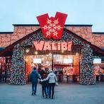 4 tickets winter WALIBI, Tickets en Kaartjes