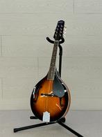 Mandolines Folk et classique chez "Michiels Music", Enlèvement ou Envoi, Neuf