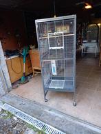 Prachtige grote volière-kooi voor binnen, Dieren en Toebehoren, Zo goed als nieuw, Metaal, Volière
