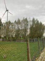 bomen, Ophalen of Verzenden, Overige soorten