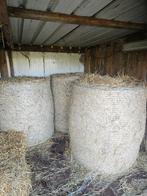 Hooi, Animaux & Accessoires, Nourriture pour Animaux, Enlèvement, Autres espèces