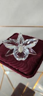 Orchidee met lichtgeel hart, Ophalen of Verzenden, Zo goed als nieuw