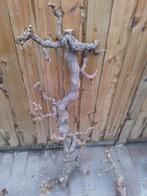 Lot van druivetakken , wortels en schors, Ophalen, Gebruikt, Tak, Plant, Rots of Steen