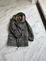 Design dames jas, Kleding | Dames, Jassen | Winter, Prada, Zo goed als nieuw, Groen, Ophalen