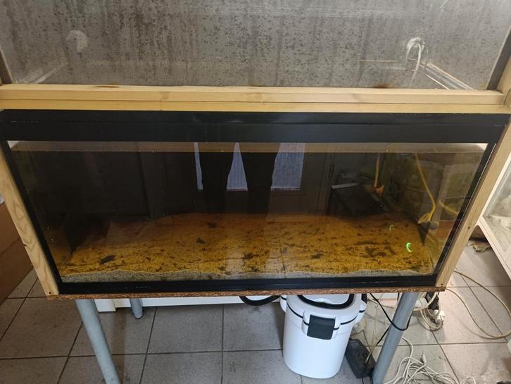 Aquarium, Dieren en Toebehoren, Vissen | Aquariumvissen