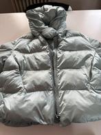 Winterjas puffer Pinko Medium lichtgroen, Kleding | Dames, Ophalen of Verzenden, Gedragen, Groen, Maat 38/40 (M)