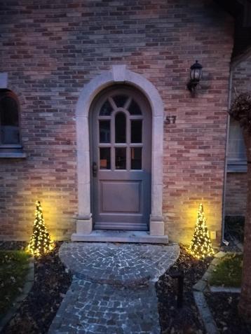 Kerstboompjes beschikbaar voor biedingen