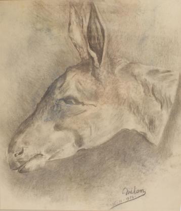 Miton Geirnaert (1908-2004): Ezelskop 1924 (65 x 75 cm) beschikbaar voor biedingen