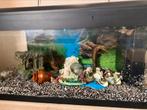 Aquarium 60-80L, Dieren en Toebehoren, Vissen | Aquaria en Toebehoren, Ophalen