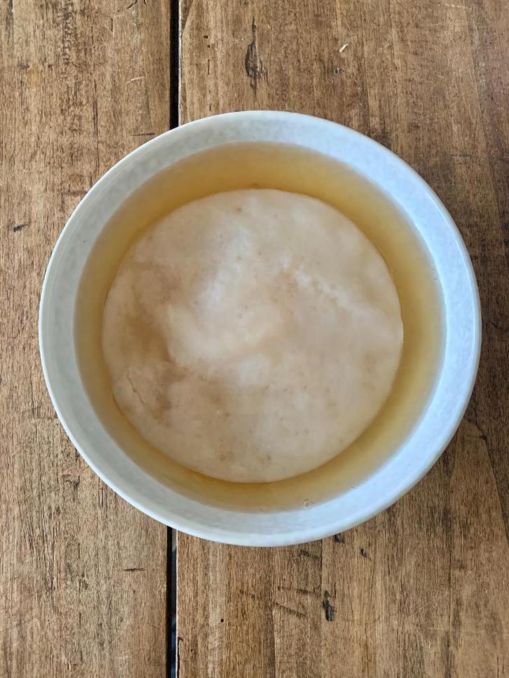 Scoby / kombucha + grand bocal gratuit/kéfir à l'eau, Divers, Produits alimentaires, Enlèvement