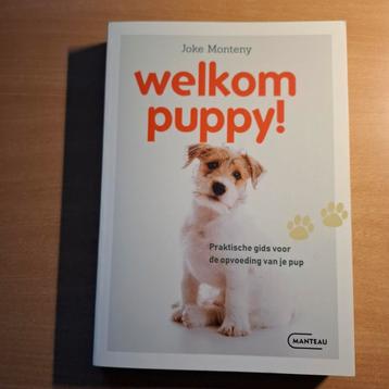  Welkom Puppy beschikbaar voor biedingen