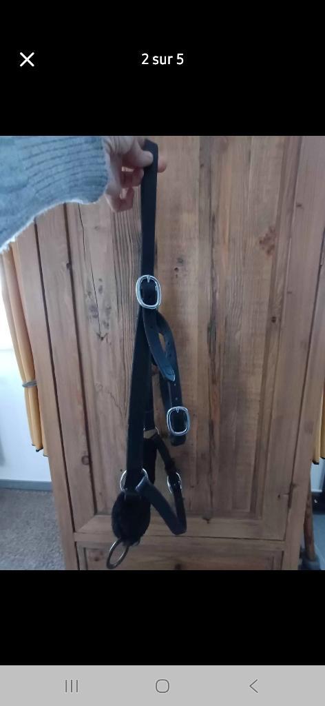 Caveçon portugais 3 anneaux, Dieren en Toebehoren, Paarden en Pony's | Hoofdstellen en Tuigage, Nieuw, Dressuur, Verzenden