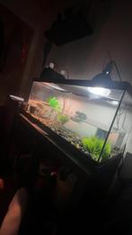 Aquarium 75-30-30, Dieren en Toebehoren, Ophalen, Nieuw