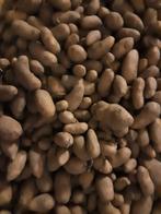 Aardappel lady anna, Ophalen