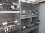 Cages en aluminium, Animaux & Accessoires, Utilisé, Enlèvement ou Envoi, Aluminium