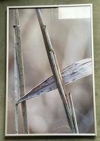 Kader, Huis en Inrichting, Woonaccessoires | Lijsten, Ophalen, Zo goed als nieuw, Metaal of Aluminium