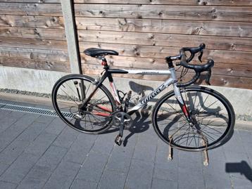 Koersfiets Willier mavec shimano  beschikbaar voor biedingen