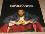 Double disque vinyl 33 tours the life ginuwine, Ophalen of Verzenden, 1985 tot 2000, Zo goed als nieuw
