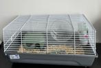 Hamster, Dieren en Toebehoren, Ophalen of Verzenden, Zo goed als nieuw, Hamster
