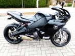 Buell 1125 R, reeds verzamelaar in beperkte serie, Motoren, Motoren | Buell, 2 cilinders, Bedrijf, 1125 cc, Super Sport
