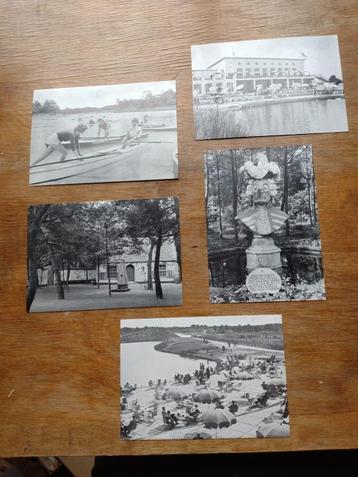 5 postkaarten uit de beginjaren van de Efteling   beschikbaar voor biedingen