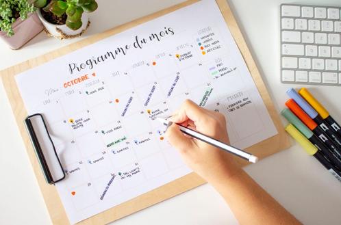 Besoin d'un coup de pouce pour ton TFE ?, Boeken, Advies, Hulp en Training, Nieuw, Ophalen