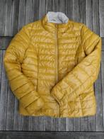 Winterjas EDC by Esprit (maat: S), Comme neuf, Jaune, Taille 36 (S), EDC by Esprit