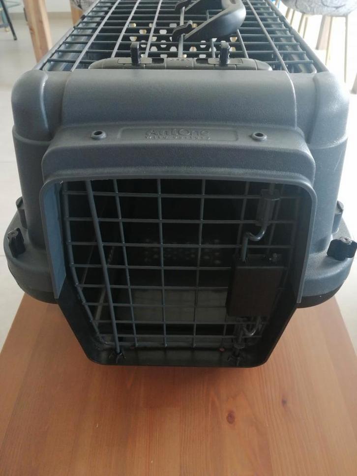 Boite de transport chien, Animaux & Accessoires, Boîtes de transport, Comme neuf, Enlèvement