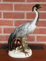 Prachtig beeld goebel reiger, Ophalen