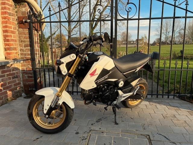 Honda MSX 125, Motoren, Motoren | Honda, Particulier, Naked bike, 11 kW of minder, 1 cilinder, Sportuitlaat, Ophalen